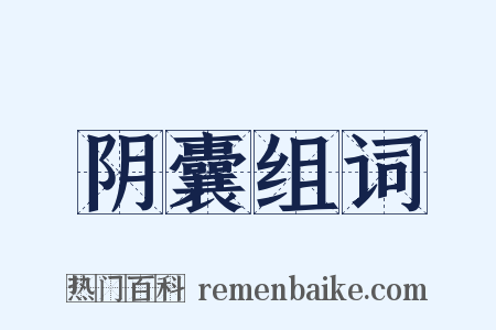 阴囊组词是什么意思的图片